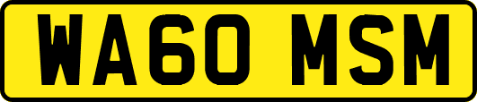 WA60MSM