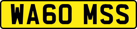 WA60MSS