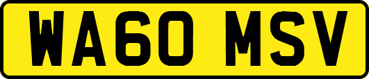 WA60MSV