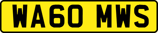 WA60MWS