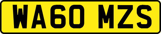 WA60MZS