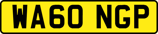 WA60NGP