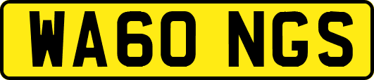 WA60NGS