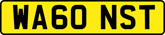 WA60NST