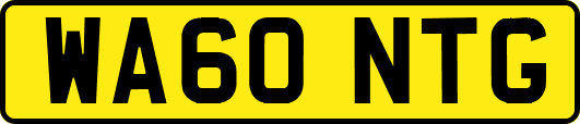 WA60NTG