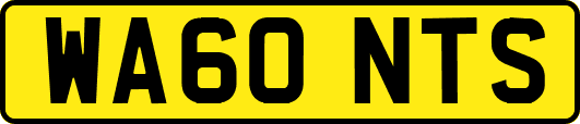 WA60NTS