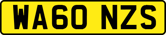 WA60NZS
