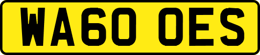 WA60OES