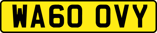 WA60OVY