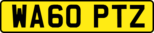 WA60PTZ