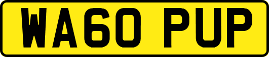 WA60PUP