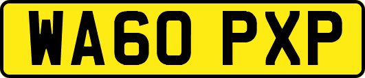 WA60PXP