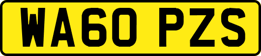 WA60PZS