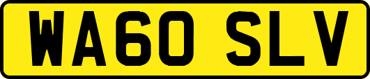 WA60SLV