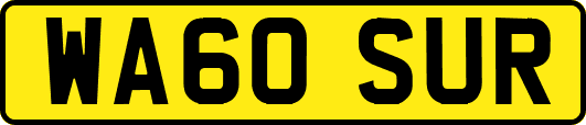 WA60SUR