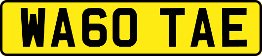 WA60TAE