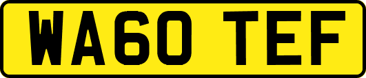 WA60TEF