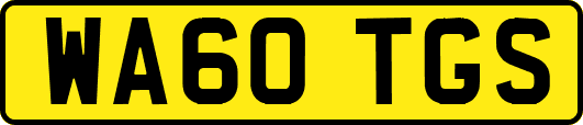 WA60TGS