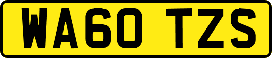 WA60TZS