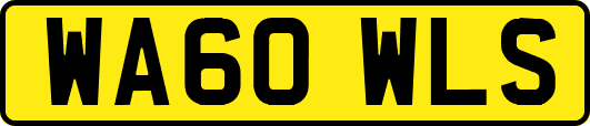 WA60WLS