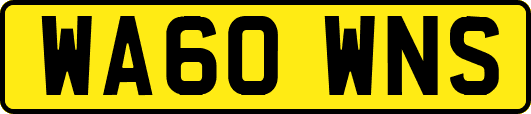 WA60WNS