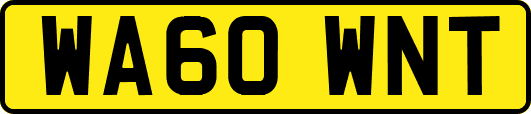 WA60WNT
