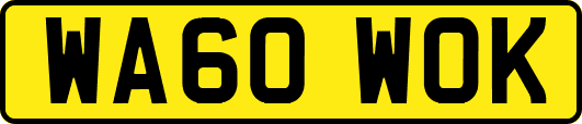 WA60WOK