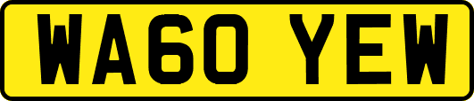 WA60YEW