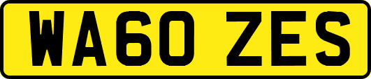 WA60ZES