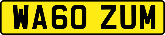 WA60ZUM