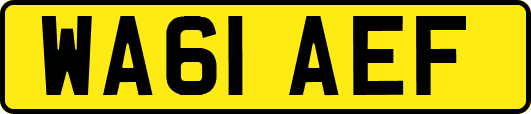 WA61AEF