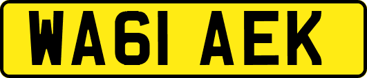 WA61AEK