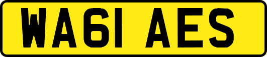 WA61AES