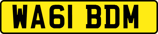 WA61BDM
