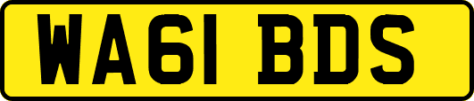 WA61BDS