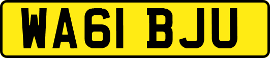 WA61BJU