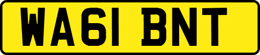 WA61BNT