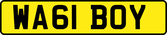 WA61BOY