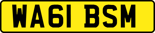 WA61BSM