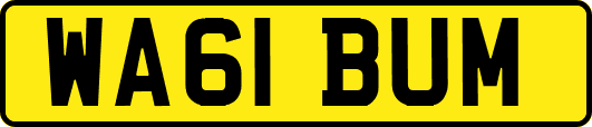 WA61BUM