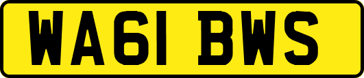 WA61BWS