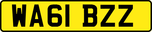 WA61BZZ