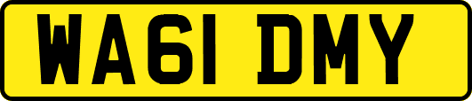 WA61DMY