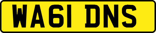 WA61DNS