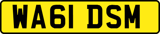 WA61DSM