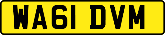 WA61DVM