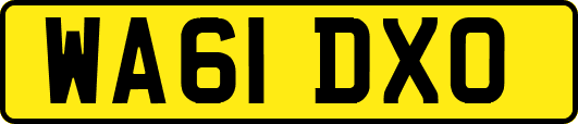 WA61DXO