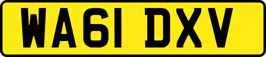 WA61DXV