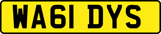 WA61DYS