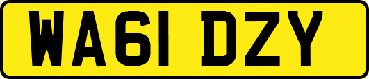 WA61DZY